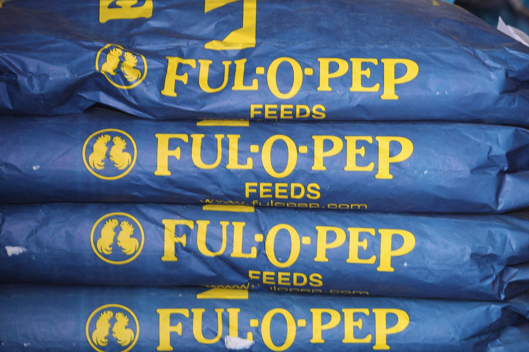 Livestock Feed Animal Feed Store Victoria TX Dierlam Feed Store livestock-feed-animal-feed-store-victoria-tx-dierlam-feed-store
